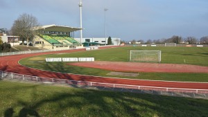 Terrain herbe