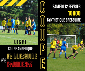 Match de coupe