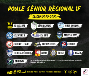 R1F_Visuel poule