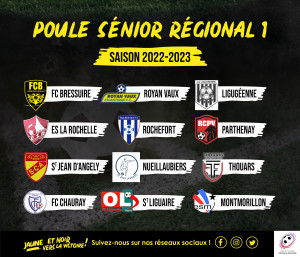 R1_Visuel poule